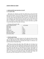 HÀNH CHÍNH SO SÁNH chính quyền địa phương Hoa Kỳ