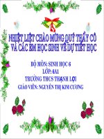 bai 42. Lop hai la mam va lop mot la mam