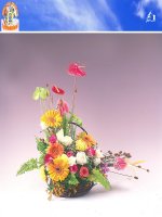 Ôn tập hàm số y = ax*x