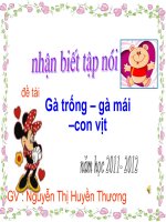 nhan biet tap noi con ga con vit