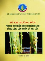 Sổ tay hướng dẫn phòng trừ rầy nâu truyền bệnh vàng lùn, lùn xoắn hại lá lúa