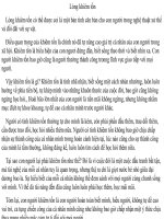 Cach lam bai van nghi luan giai thich