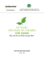 Kỹ thuật sản xuất và chế biến chè xanh quy mô hộ và nhóm hộ gia đình