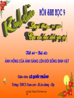 sinh học 9 bài ảnh hưởng của ánh sáng lên đời sống sinh vật- giáo án lớp 9 tham khảo thao giảng, thi giáo viên dạy giỏi (16)