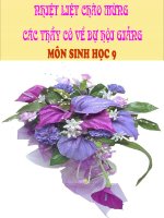 sinh học 9 bài ảnh hưởng của ánh sáng lên đời sống sinh vật- giáo án lớp 9 tham khảo thao giảng, thi giáo viên dạy giỏi (14)