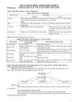 đề cương ôn thi học sinh giỏi lớp 8 sinh học