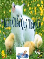 bai chuong nuoi va ve sinh trong chan nuoi