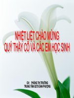 Bai 33: a xit sunfuric