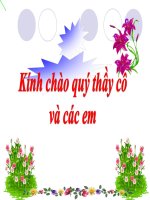 bai9 lop 12 ( t1) hay dung thu va cam nhan