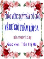 TNXH: BAI 52 CA - LOP 3