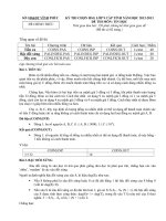 ĐỀ THI HSG TIN 9 VĨNH PHÚC 2012-2013