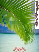 tim hieu yeu to bieu cam trong van nghi luan