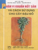 Phân vi khuẩn nốt rần và cách sử dụng cho cây đậu đỗ