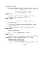 đề thi hsg toán cấp trường