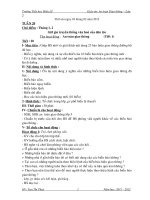 Giao an ngoai khoa lop 5 - Tuan 20 - 27