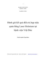 đánh giá kết quả điều trị hẹp niệu quản bằng laser holmium tại bệnh viện việt đức