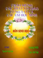 sinh học 9 bài ảnh hưởng của ánh sáng lên đời sống sinh vật- giáo án lớp 9 tham khảo thao giảng, thi giáo viên dạy giỏi (9)