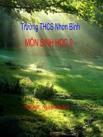 sinh học 9 bài ảnh hưởng của ánh sáng lên đời sống sinh vật- giáo án lớp 9 tham khảo thao giảng, thi giáo viên dạy giỏi (21)