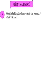 Hoa 9: Tiết 51 - Nhiên liệu