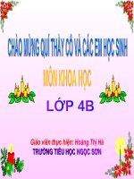 Bài 53 Khoa hoc 4 Cac nguon nhiet