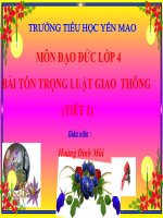 Tôn trọng Luật giao thông ( Tiết 1)
