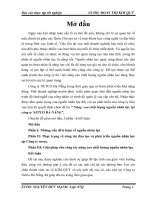 Chuyên đề tốt nghiệp Nâng cao chất lượng nguồn nhân lực tại công ty NETCO ĐÀ NĂNG