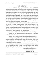 Chuyên đề tốt nghiệp Kế toán tiêu thụ và xác định kết quả tiêu thụ tại Công ty Cổ phần Sành sứ xây dựng Thăng Bình