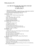 Cấu trúc đề HSG lớp 8