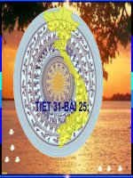 viet nam tu cuoi nam 1946 den nam 1954