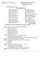 TIENG VIET 3-GKII-LAN-12-13