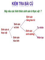 Tiết 45 - bài 44- Sinh sản vô tính ở động vật