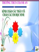 Bài 20: NGUYÊN TỬ-PHÂN TỬ CHUYỂN ĐỘNG HAY ĐỨNG YÊN-VL8