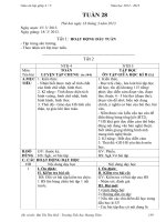 GIAO AN LOP GHEP 4 +5 TUAN 28