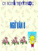 tiet 33 hai cay phong