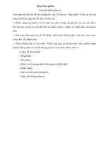 bien ban bau cu đảng viên