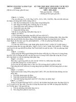 de hsg hoa 9 - lam ha 2012-2013