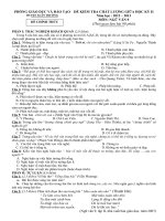 Đề thi Ngữ văn và đáp án (HKII)