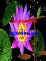 TỔNG KẾT PHẦN VĂN BẢN NHẬT DỤNG (Tiếp theo)