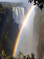 sinh học 9 bài ảnh hưởng của ánh sáng lên đời sống sinh vật- giáo án lớp 9 tham khảo thao giảng, thi giáo viên dạy giỏi (12)