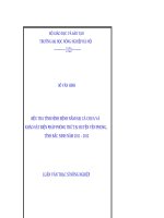 Điều tra tình hình bệnh nấm hại cà chua và khảo sát biện pháp phòng trừ tại huyện yên phong, tỉnh bắc ninh năm 2011   2012