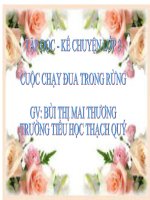 CUỘC CHẠY ĐUA TRONG RỪNG - TĐ 3