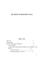 hệ thống ổn định điện tử esc