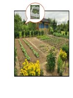 Chu vi hình chữ nhật chu vi hình vuông