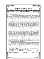 skkn một số kinh nghiệm rèn kĩ năng viết văn nghị luận cho học sinh lớp 9