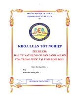 Khóa luận tốt nghiệp Đầu tư xây dựng cơ bản bằng nguồn vốn trong nước tại tỉnh bình định