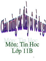 bai 17  chương trình con lớp 11