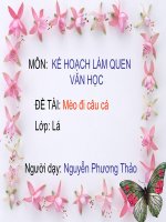 van hoc meo di cau ca