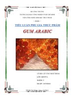 tiểu luận phụ gia thực phẩm gum arabic