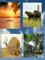 đi tìm sự bình yên trong tâm hồn