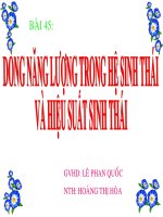 bài 45.DÒNG NĂNG ƯỢNG TRONG HST VÀ HIỆU SUÂT SINH THÁI